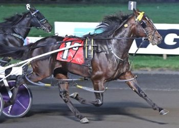 Loubet surges to $233,970 Kindergarten triumph