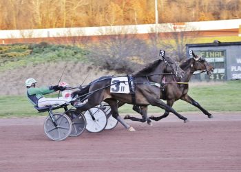 Greg Peck trains co-feature winners