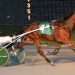 Undefeated Gaitway Guy takes another in Delaware