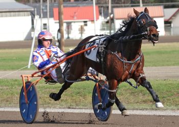 Humor Me all smiles in Cumberland