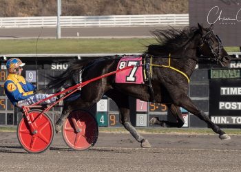 Keystone Chaos takes another Open Trot