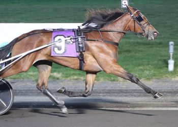 $475,400 Goldsmith Maid was all Bond