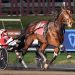 Bella Bellini tops in TVG, Atlanta is retired