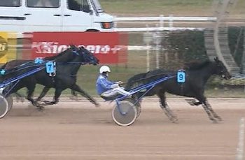 Bonaparte Boss wins 3,000,000Huf Menesek DIJ at Kincsem Park