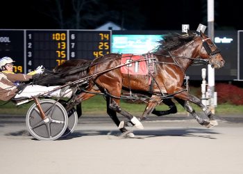 Nuttin But Finesse noses out favorite in Open