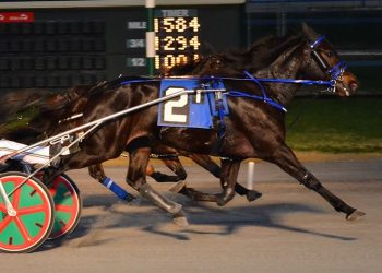 Shes All Woman uncovered but still a gutsy winner