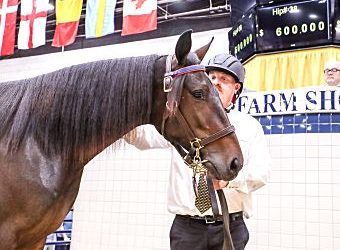 $600,000 sales topper first day at Harrisburg