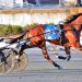 Unbeaten pacer wins again in DSBF Series 3 Unbeaten pacer wins again in DSBF Series