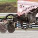 Three-wide move gets favorite home despite rough start 3 Three-wide move gets favorite home despite rough start