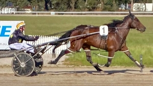 Third generation trainer to debut at Burnie