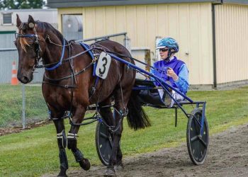 Listed 2YO Sires Stakes Classique headlines Thursday Ashburton card