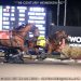 Century Heineken upsets in Mohawk Preferred