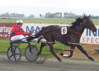 Leading trainers have top hopes