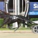 Inter Dominion still on the cards for brilliant trotter