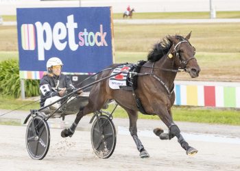 Believe, Brilliance, and an upset dominate trotters ID heats