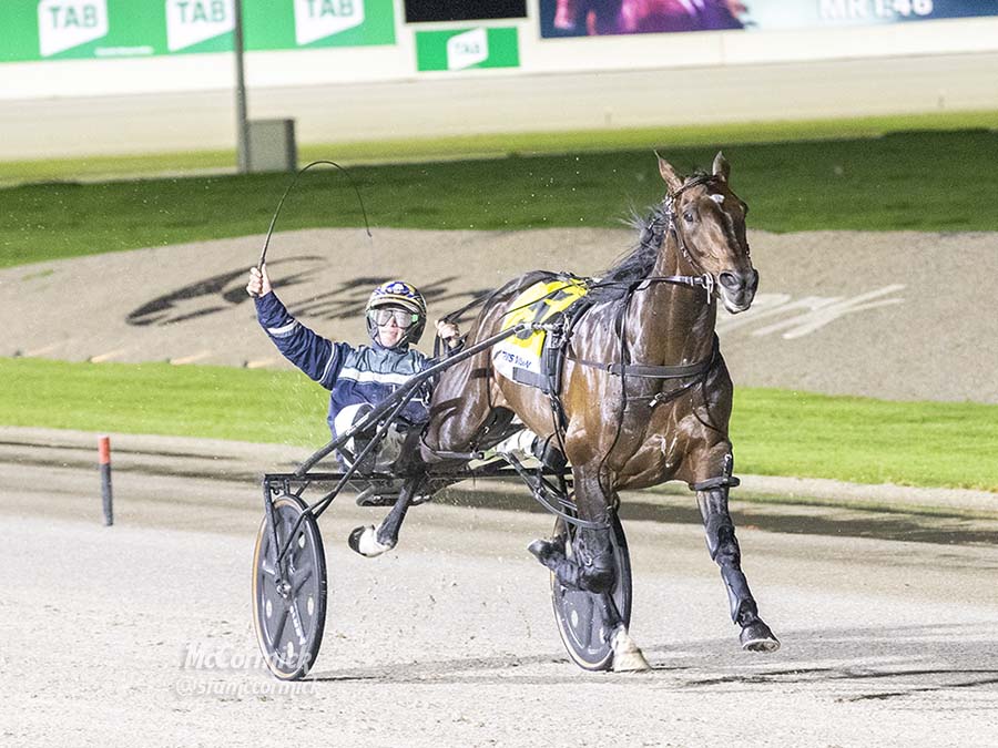 Countdown on to the WA Pacing Cup