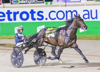 Ravishing eight Breeders Crown wins sets Stewart further apart