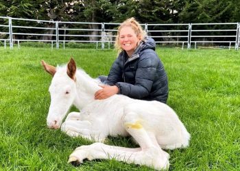 Genevieve’s Casper