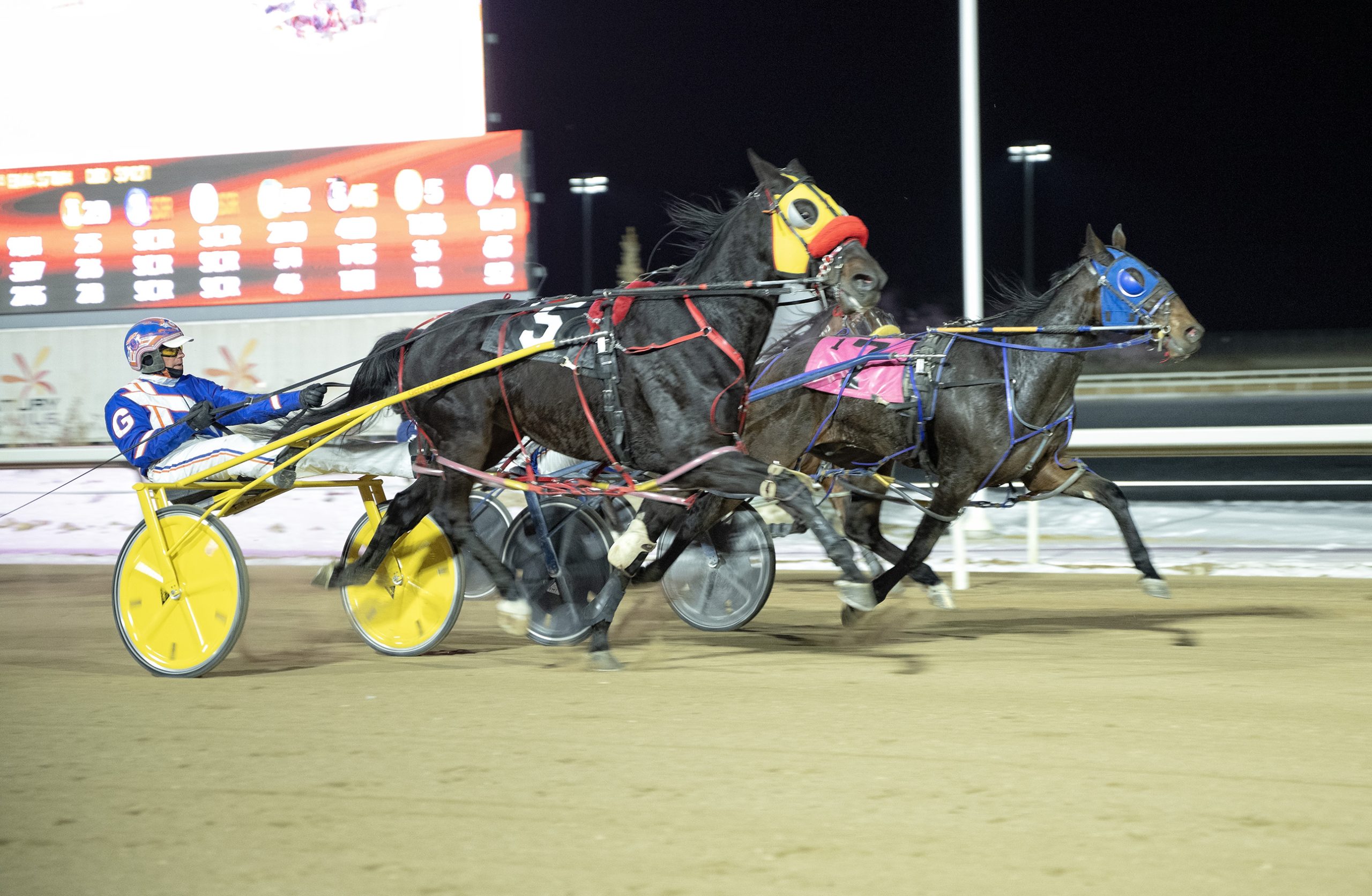 Friday night racing preview for Century Mile Harnesslink