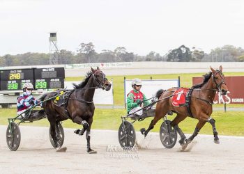 Trotters set the pace in Breeders Crown heats