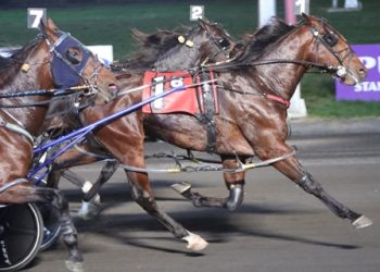 Big M holds eliminations for Final Four