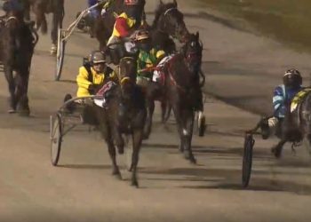 Pat ready for big Breeders Crown