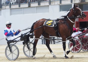 Winton Preview – Southern Story + pics