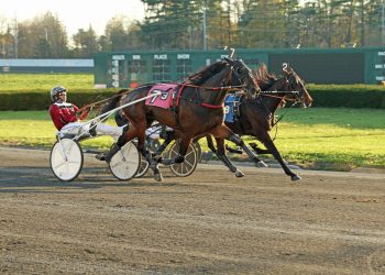 Dark Pool makes waves in AHDC