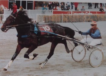 Remembering David Moss