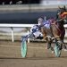 McNair dominates $300,000 Alberta Sires Stakes Super Finals