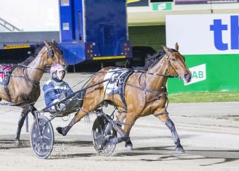 Encipher gets the key draw in Breeders Crown final