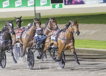 Encipher goes back to back on Breeders Crown night