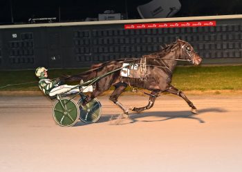 Photo finish camera needed in $40,000 Trot