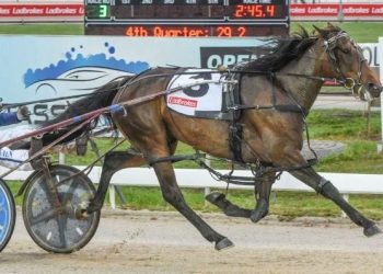 Unwanted filly claims $60,000 feature