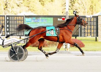 Pocket-rocket upsets in Open Handicap