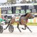 Believe, Brilliance, and an upset dominate trotters ID heats