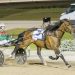 Favourites and an upset create interest in Inter Dominion trotting heats