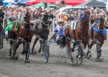 Now we get the NZ Cup we all deserve