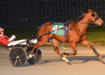 Killer Stripes takes $100,000 DSBF Final