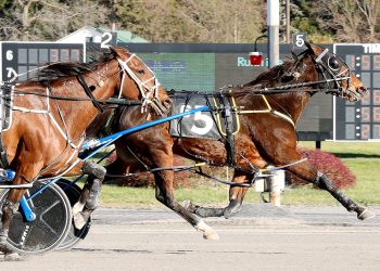 Last-to-first for La Bella Vita N