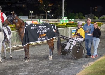 Queensland harness racing wrap