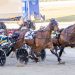 Dan delivers a track record time in Inter Dominion heat