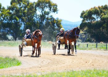 Grimson ready for another Inter Dominion