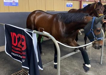 Queensland Harness Racing Wrap