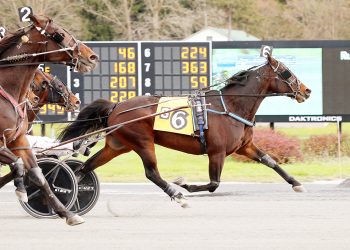 Majestic Fire handles class hike in Open Trot