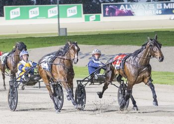 Nine straight for Major Delight in $300,000 Group 1