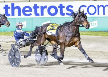 Debate on hold as juvenile Crowning glory arrives