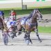 Tough draw for Kiwi pacer in Breeders Crown Final 1 Kiwi raider does something special