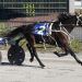 Mantario uses every inch of racetrack to win
