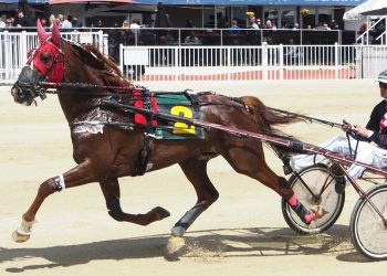 Nairn trotting trio for Addington